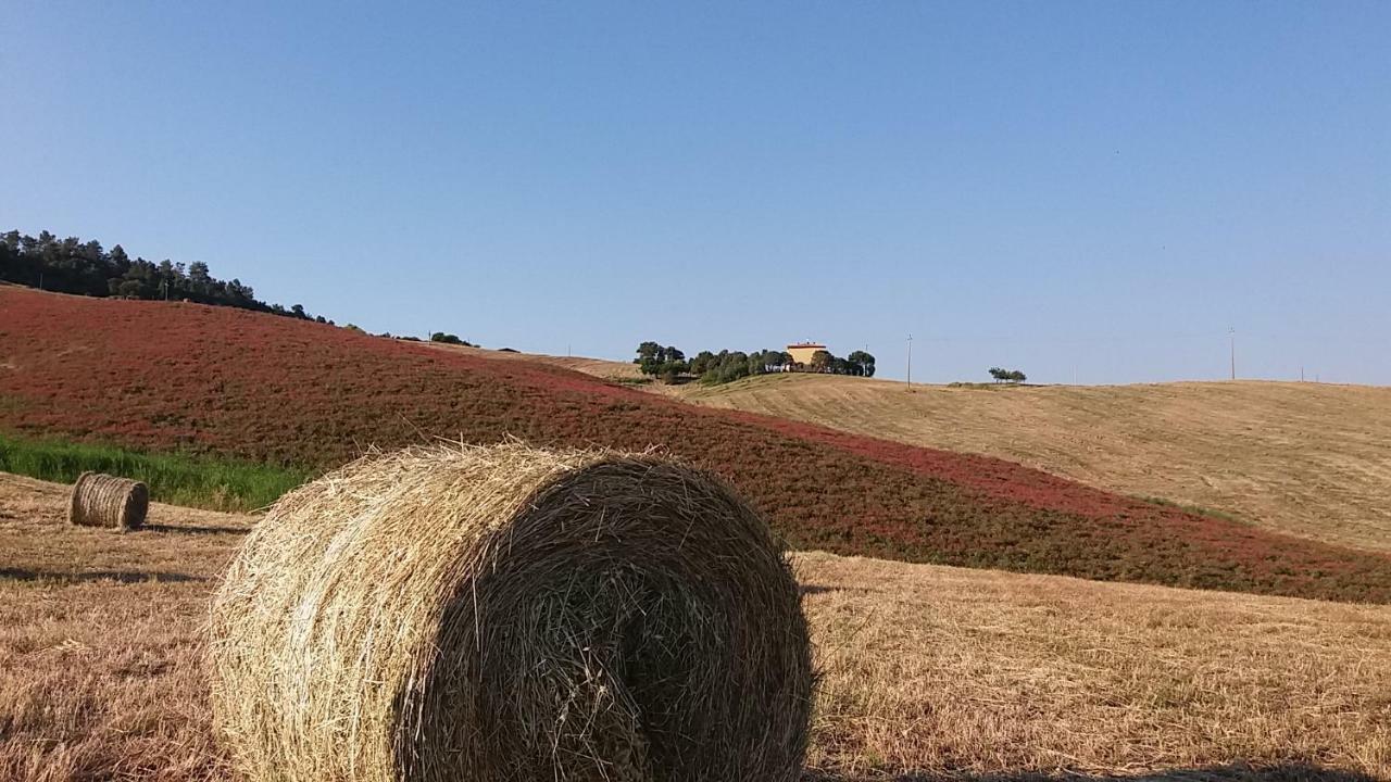 Agriturismo Santa Bruna Volterra Exterior photo